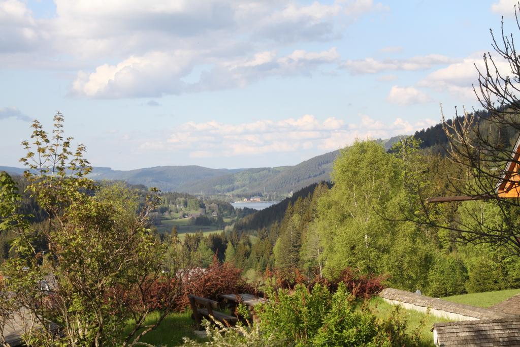 Hotel Adler Baerental Feldberg (Baden-Wurttemberg) Exterior foto